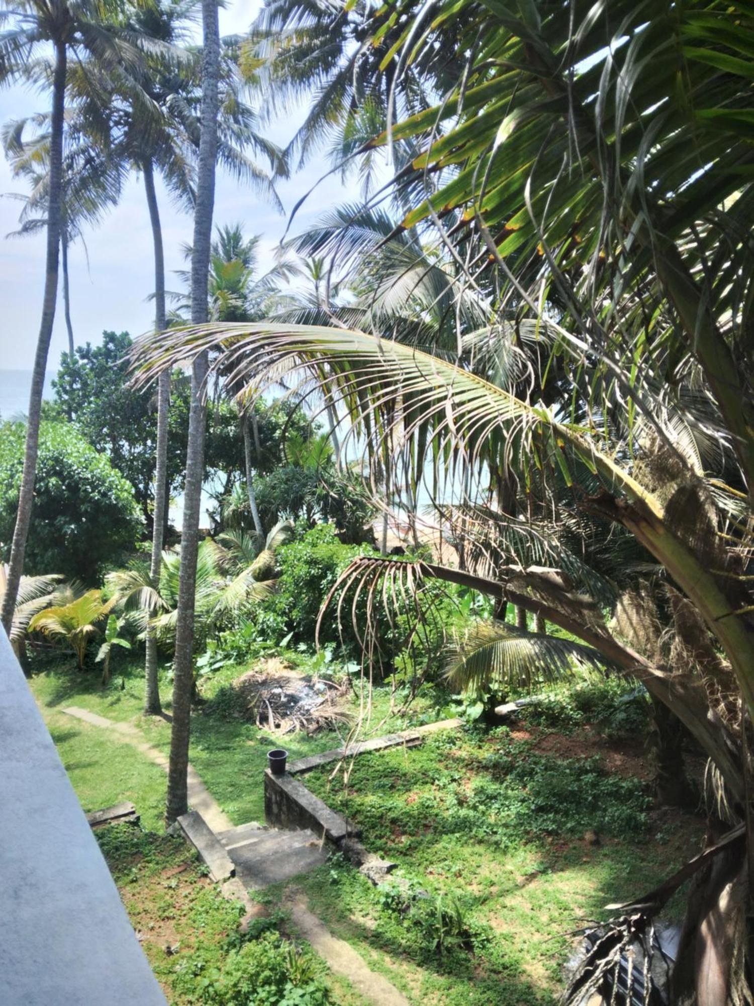 Sunray Rest - Beach View Homestay มิริสซา ภายนอก รูปภาพ