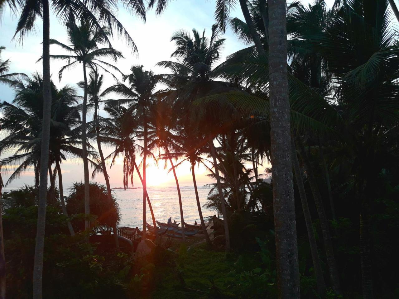 Sunray Rest - Beach View Homestay มิริสซา ภายนอก รูปภาพ